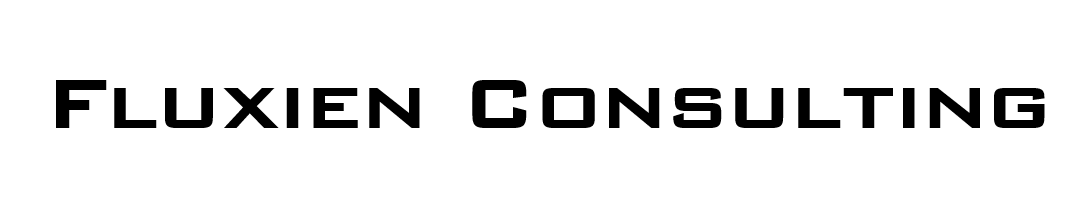Fluxien Consulting